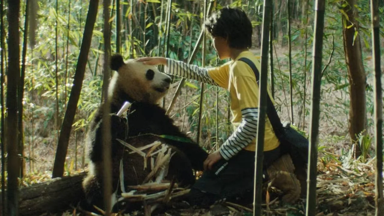 Film MOON THE PANDA 2025 (credit: Gaumont)