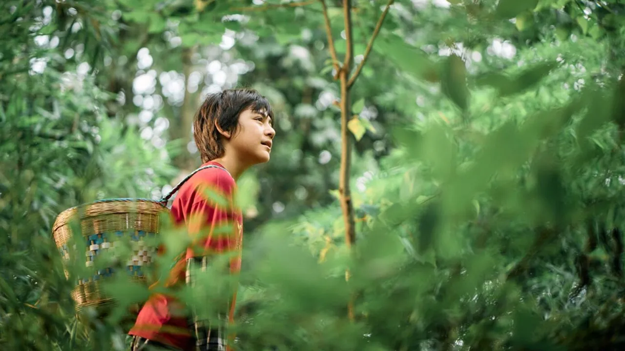 Film MOON THE PANDA 2025 (credit: Gaumont)