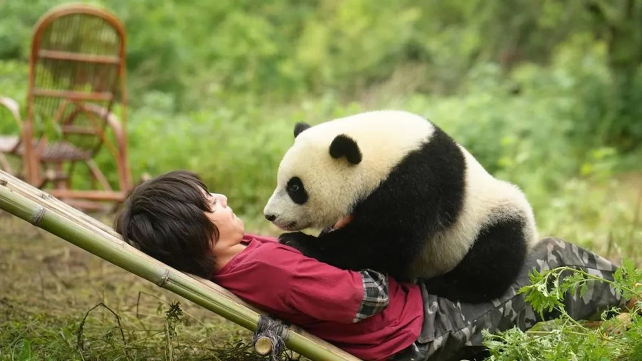 Film MOON THE PANDA 2025 (credit: Gaumont)