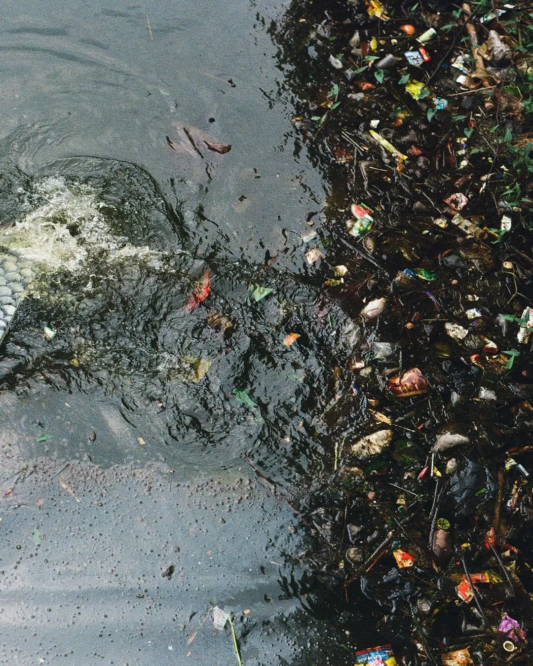 Sampah-sampah di danau (credit: instagram/haramarhara)