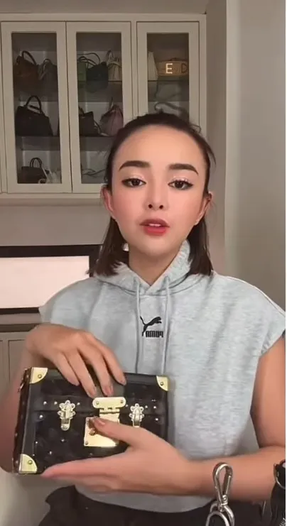 Tas Amanda dari Louis Vuitton (credit: tiktok.com/@agml612)