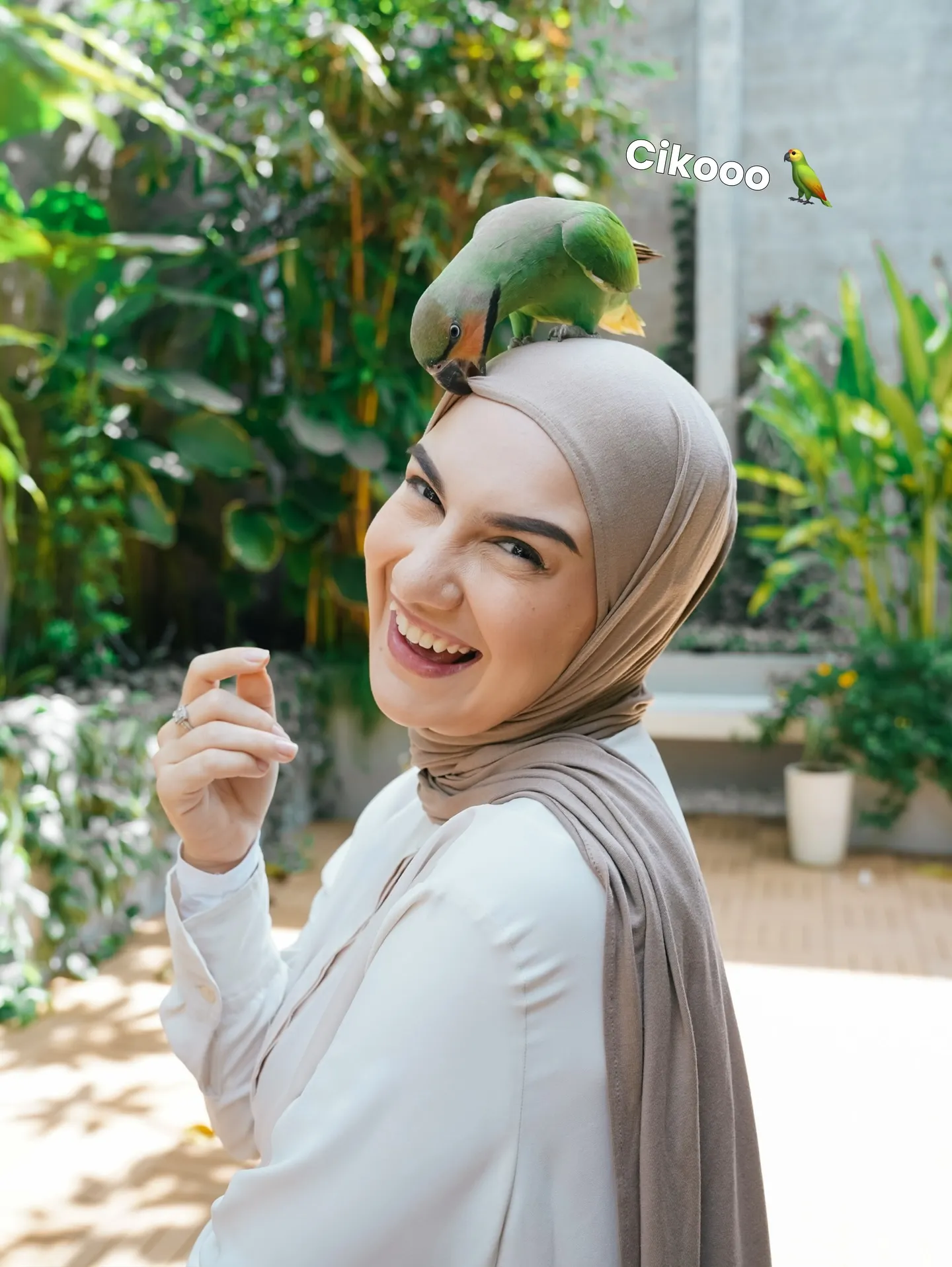 Burung Peliharaan