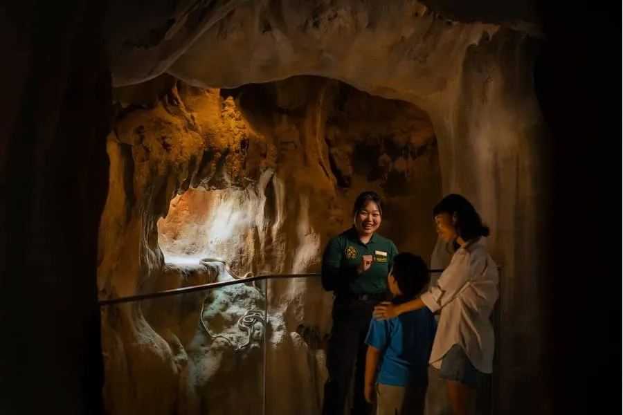 Petualangan seru dengan edukasi dan konservasi di setiap sudut Rainforest Wild Asia. Foto: Mandai