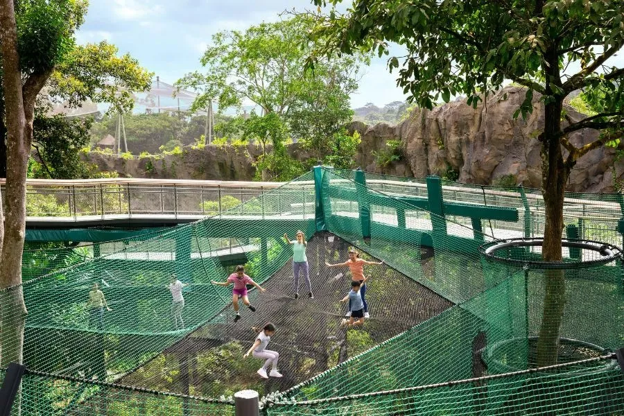 Petualangan nyaman dan seru, nikmati setiap momen di Rainforest Wild Asia. Foto: Mandai