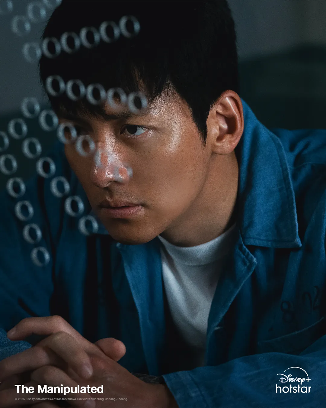 DisneyPlusHotstar.id