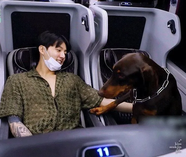 Potret Jungkook BTS dan Hewan Peliharaannya/x.com/jkpopbase
