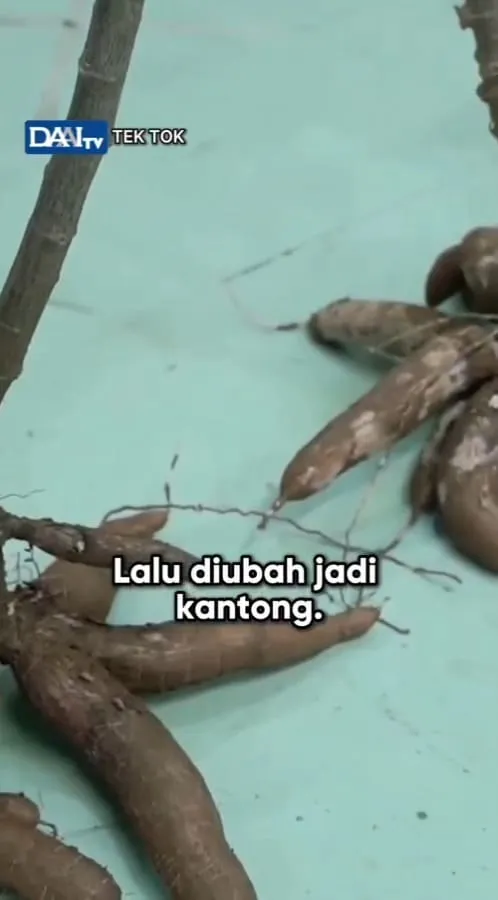 Proses Pengolahan Biji Singkong Menjadi Kantong (credit: instagram/daaitvindonesia)