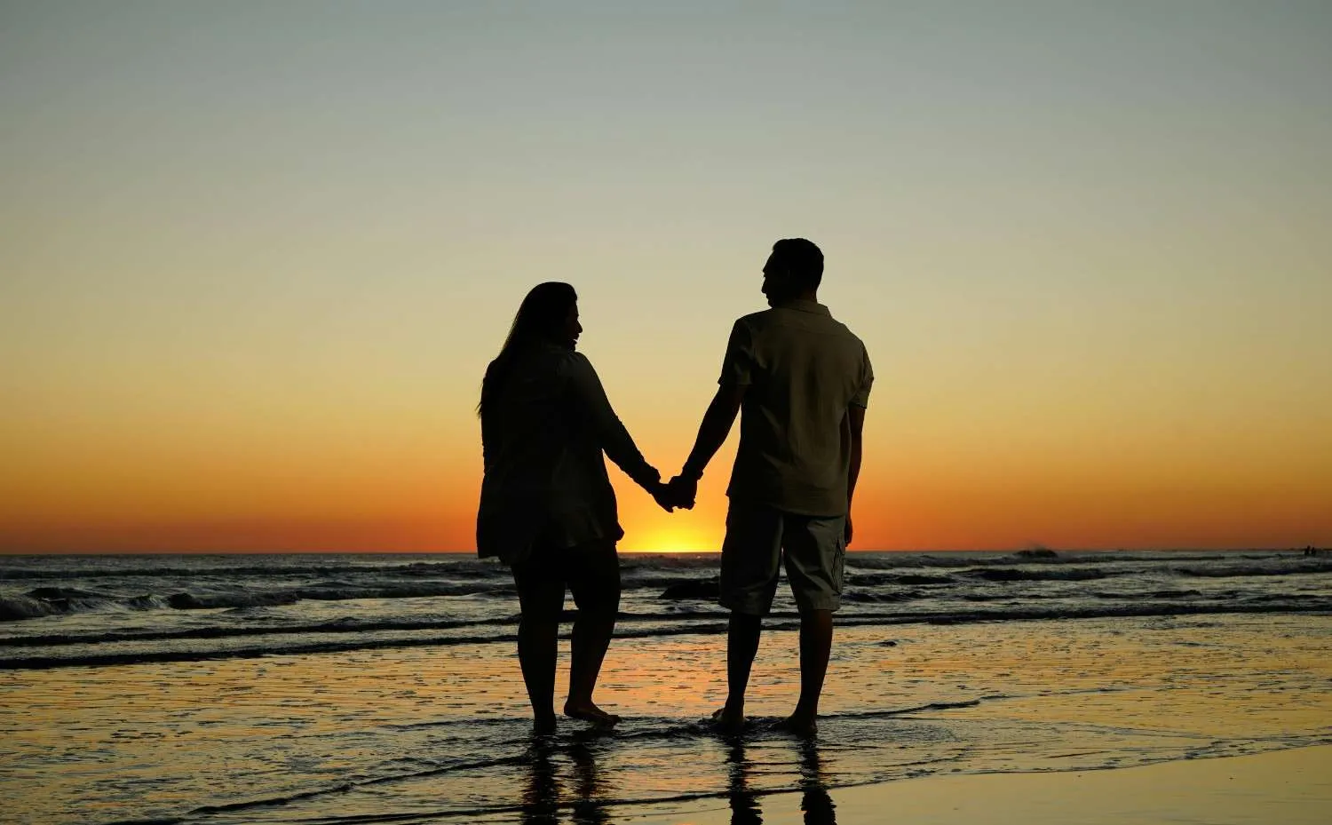 (c) Ilustrasi Pexels