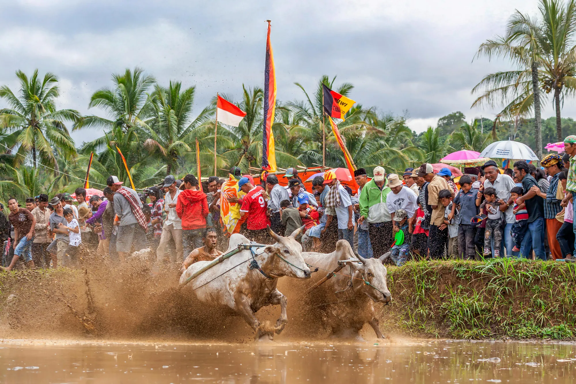 Refleksi Mendalam Makna Kemerdekaan (c) Ilustrasi Pexels/Man Fong Wong