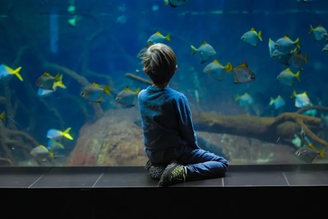 Manfaat Memberikan Kata Kata Motivasi Hidup untuk Anak Laki Laki (c) unsplash.com