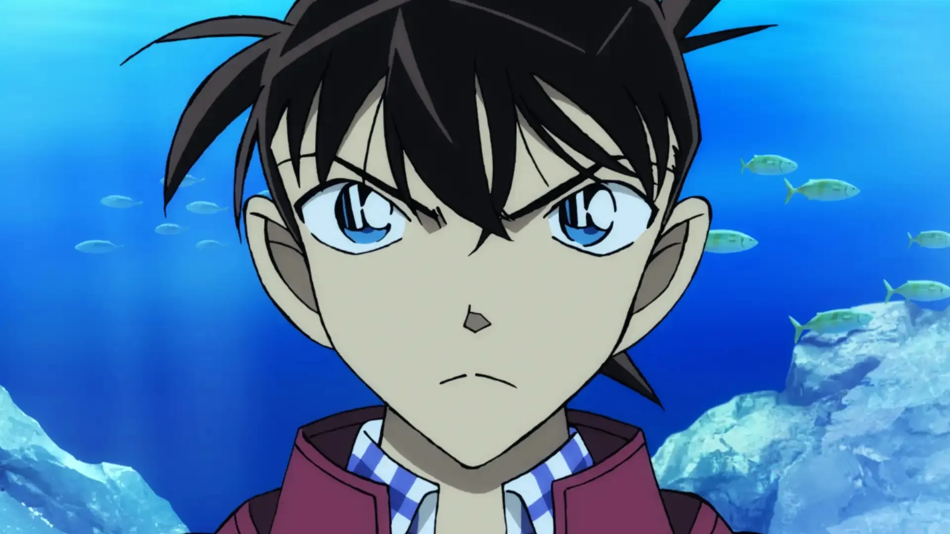 Kento Yamazaki puncaki survei pemeran Shinichi Kudo (credit:imdb)