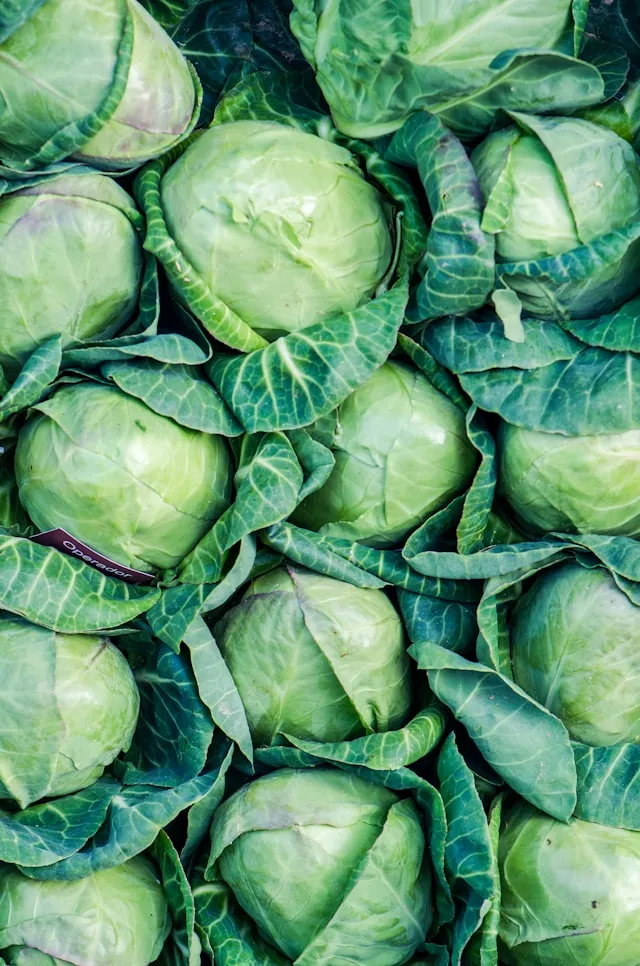 Apakah Kubis Berulat Masih Aman untuk Dikonsumsi? (credit: unsplash.com)
