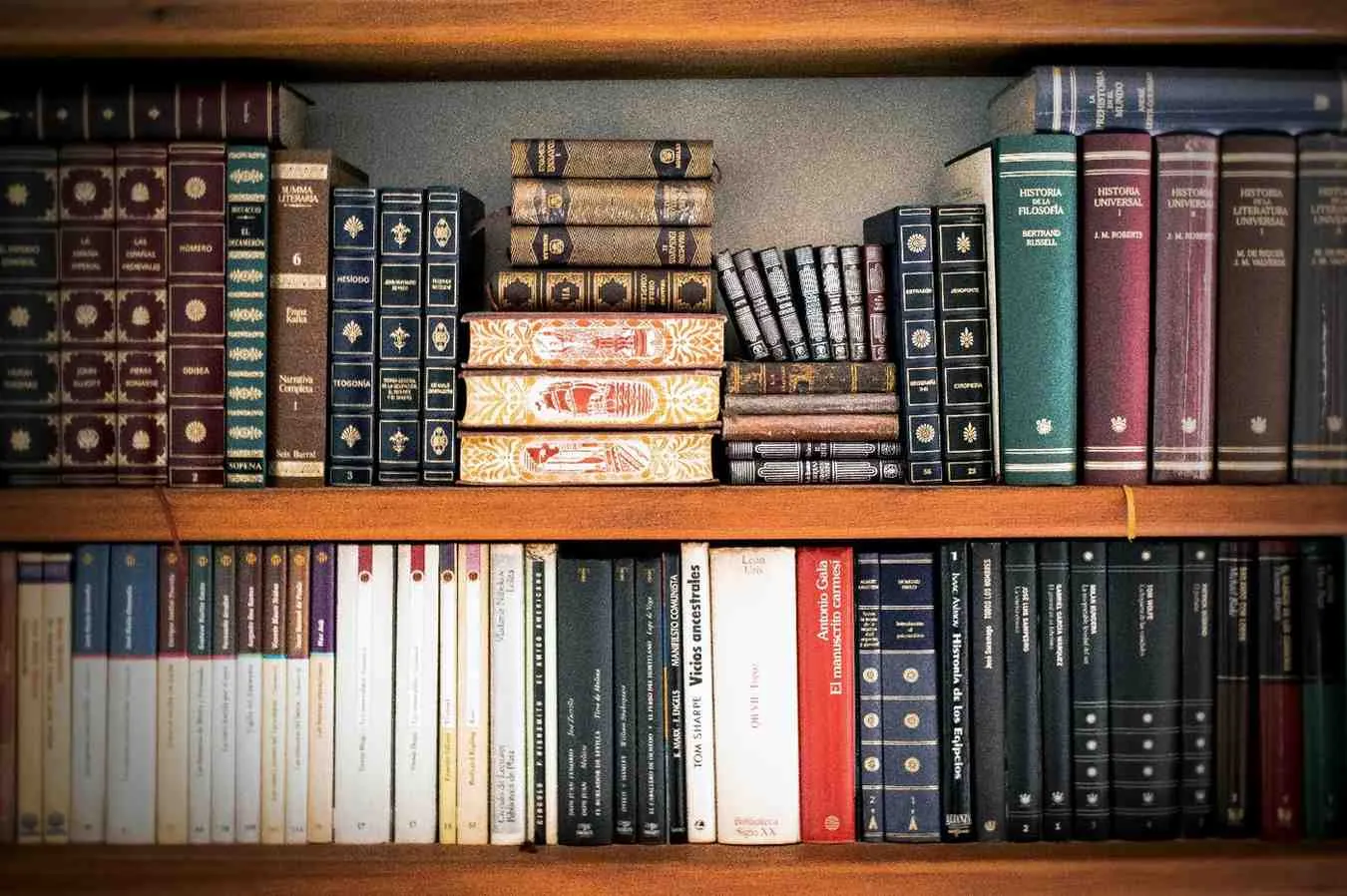 Kata Homonim Buku, Kali, dan Bunga