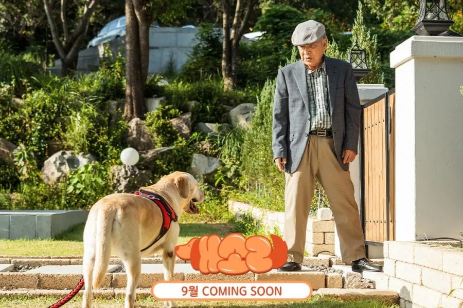 Drama Lee Soon Jae (credit: mydramalist)