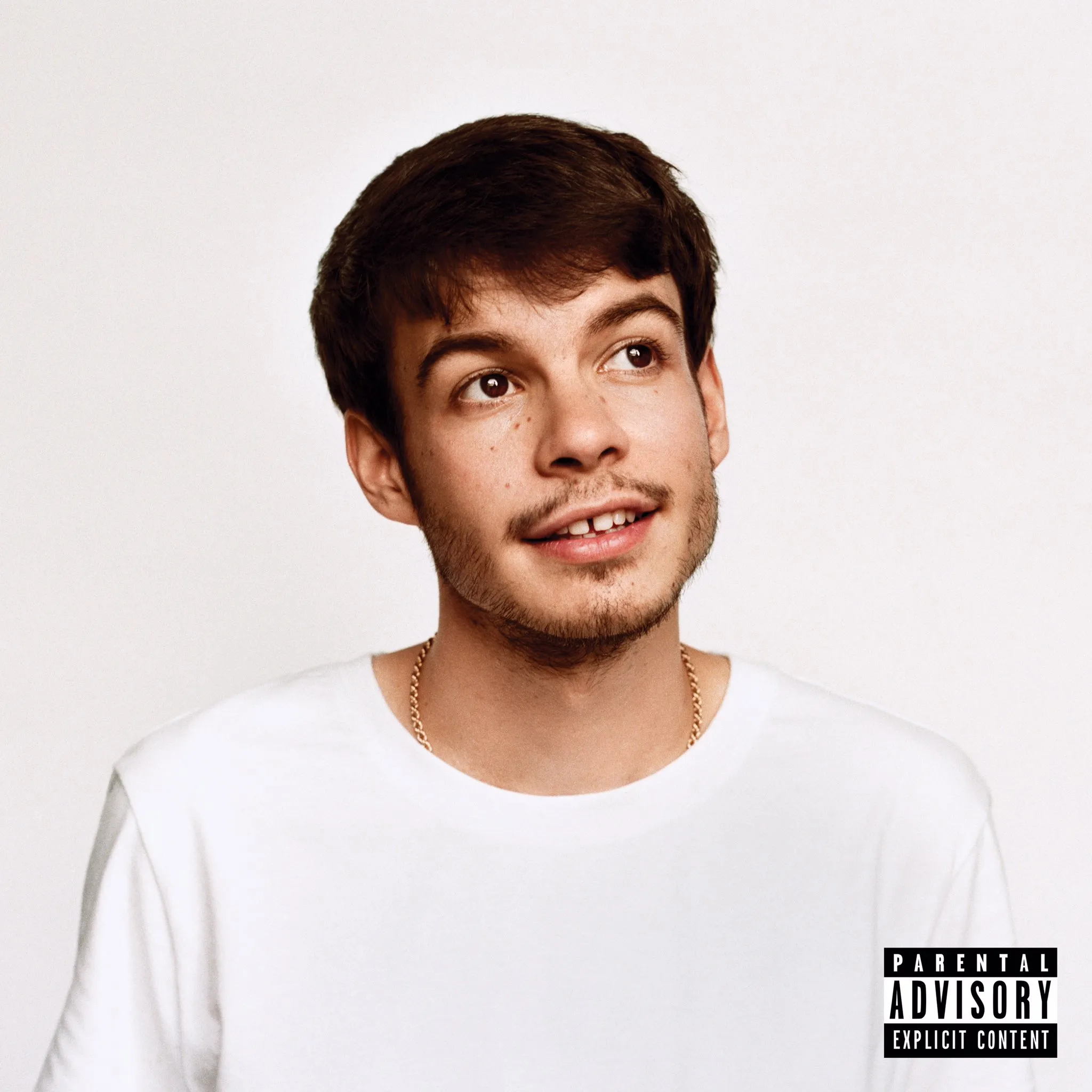 Potret album Rex Orange County (credit: Youtube.com/Rex Orange County/)