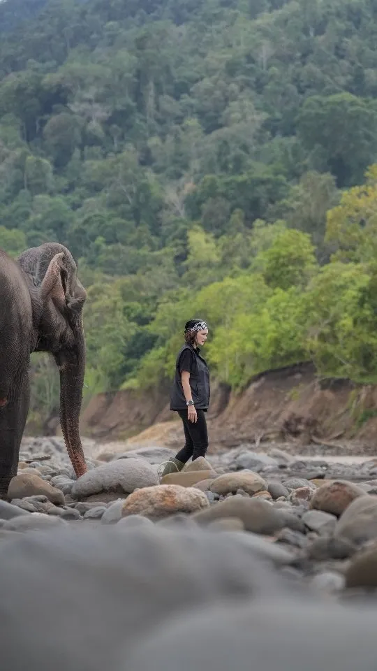 Luna Maya di sungai bareng gajah - instagram.com/lunamaya
