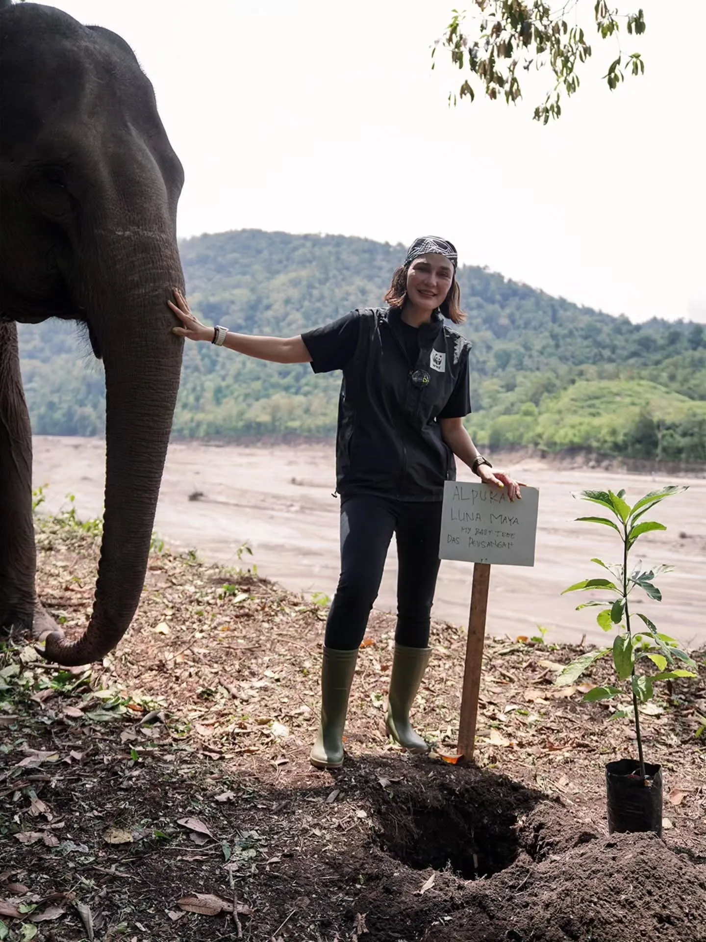 Luna maya bersama gajah - instagram.com/lunamaya