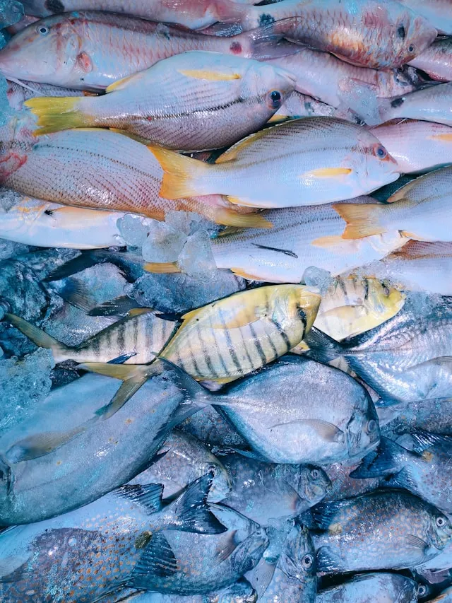 Pandangan Ulama Islam tentang Simbolisme Ikan dalam Mimpi (c) unsplash.com