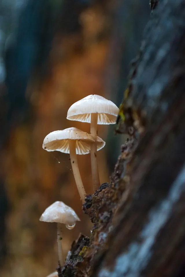 FAQ (c) unsplash.com