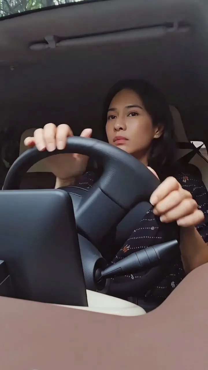 Momen Dian Sastrowardoyo nyetir mobil sendiri (credit: Instagram.com/therealdisastr/)