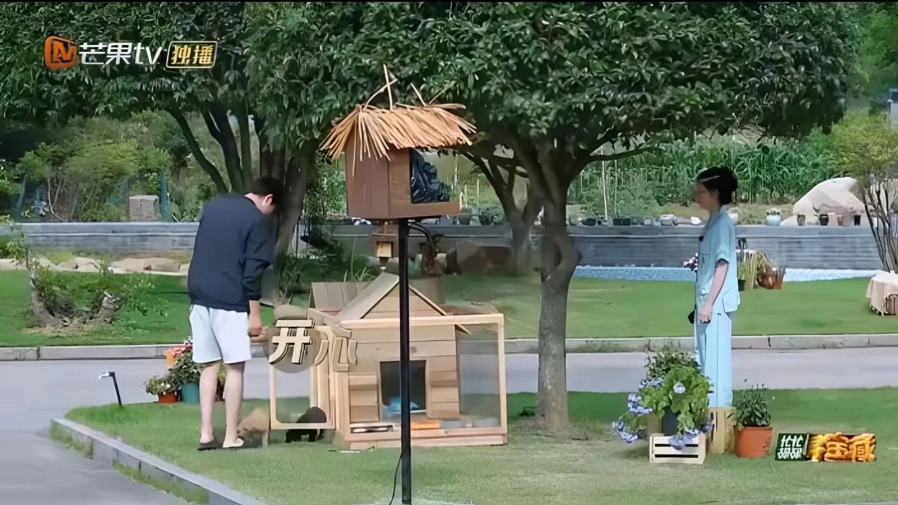 Credit: MangoTV/Crazy Treasure Hunt/X.com/@luvutianxiwei