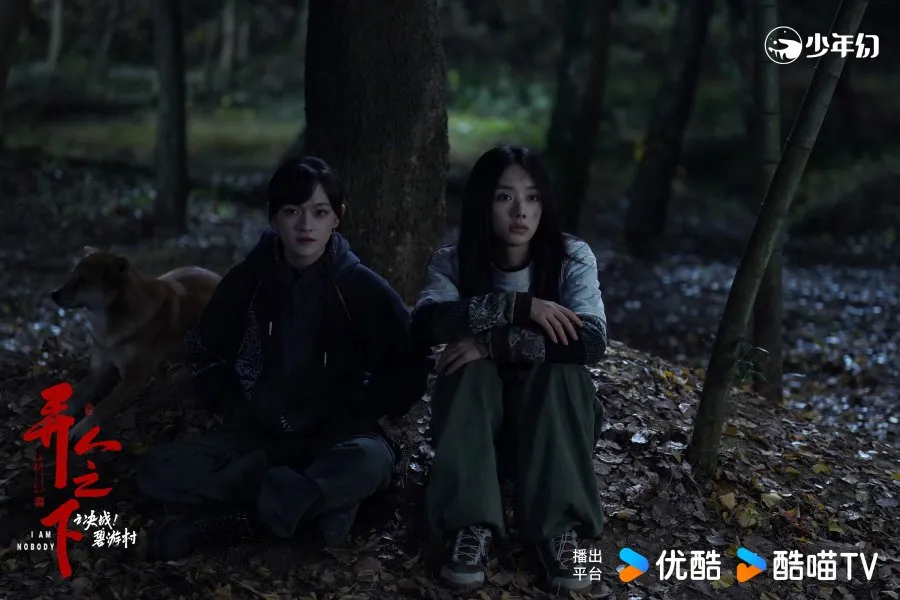 (credit: mydramalist.com)