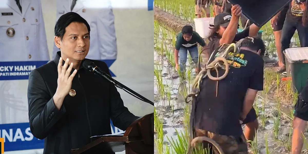 Lepas Burung Hantu Juga
