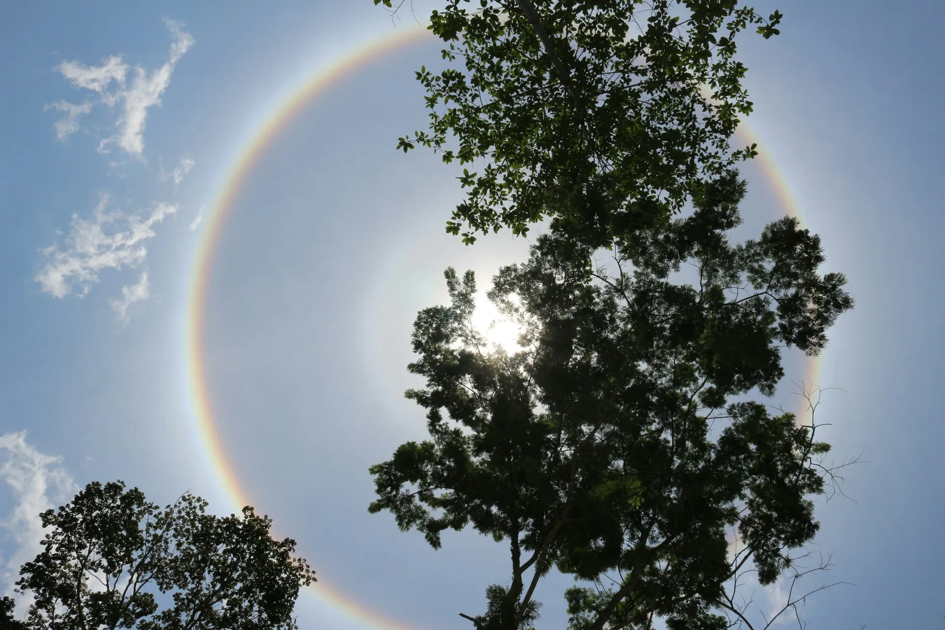 Fenomena matahari halo (credit: unsplash)
