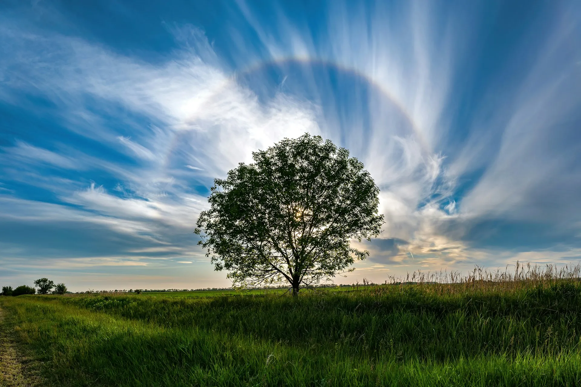 Fenomena matahari halo (credit: unsplash)