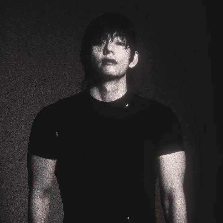 V BTS Pakai Kaus Hitam © instagram.com/thv