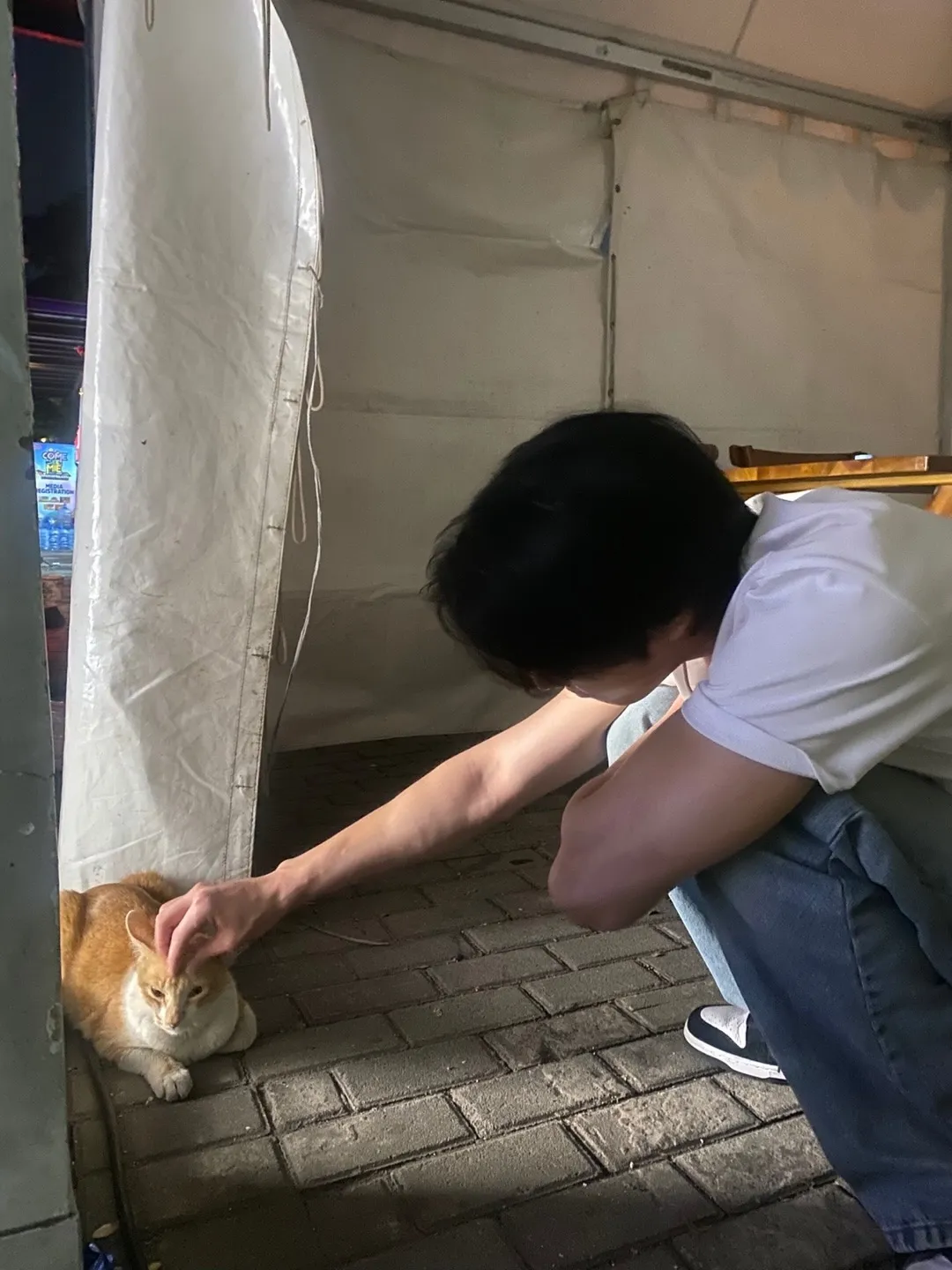 Potret Ahn Hyo Seop main dengan kucing di rest area tol Cipularang. (instagram.com/imhyoseop)