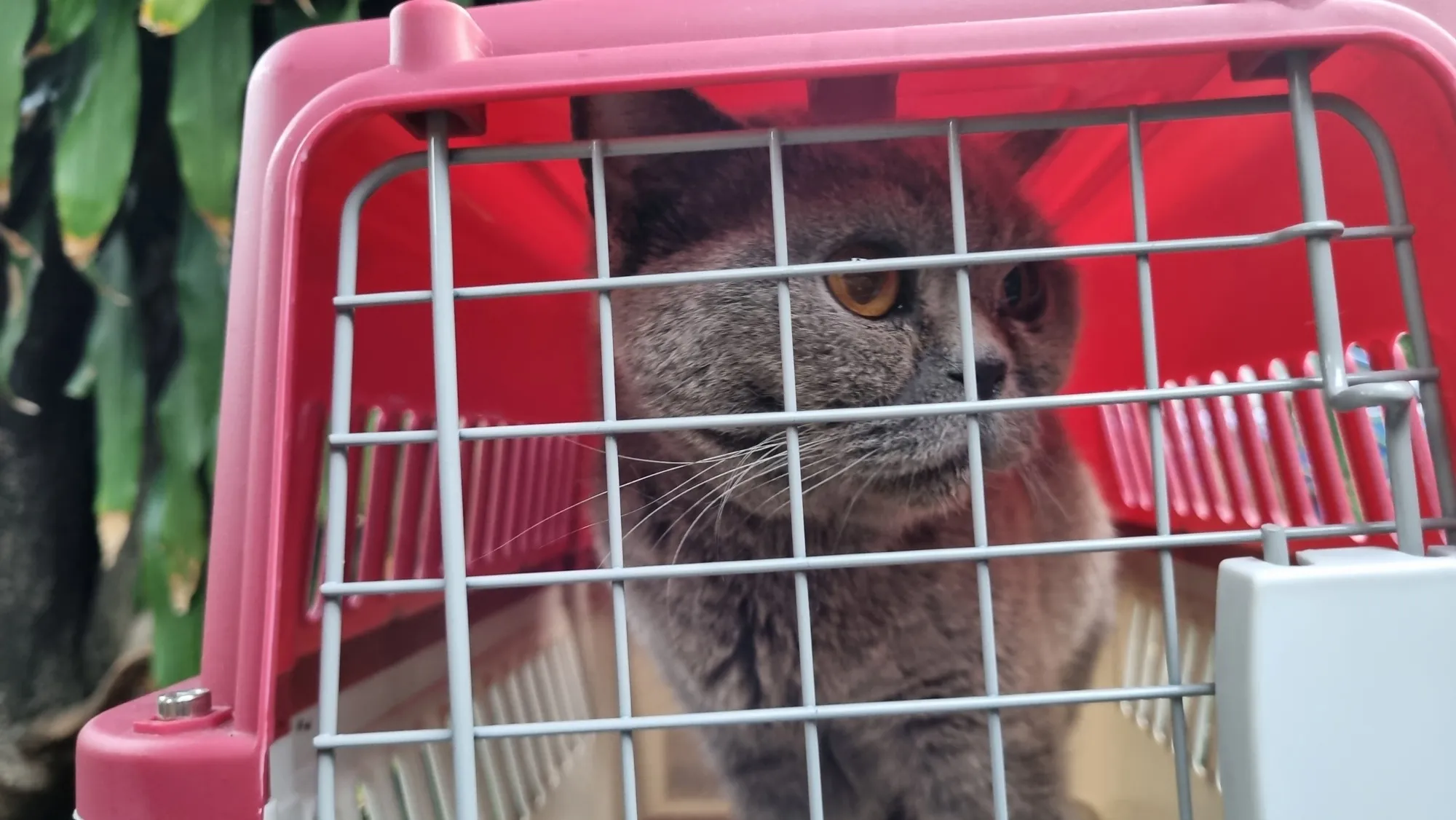 (credit: KapanLagi.com/Fikri Alfi Rosyadi)