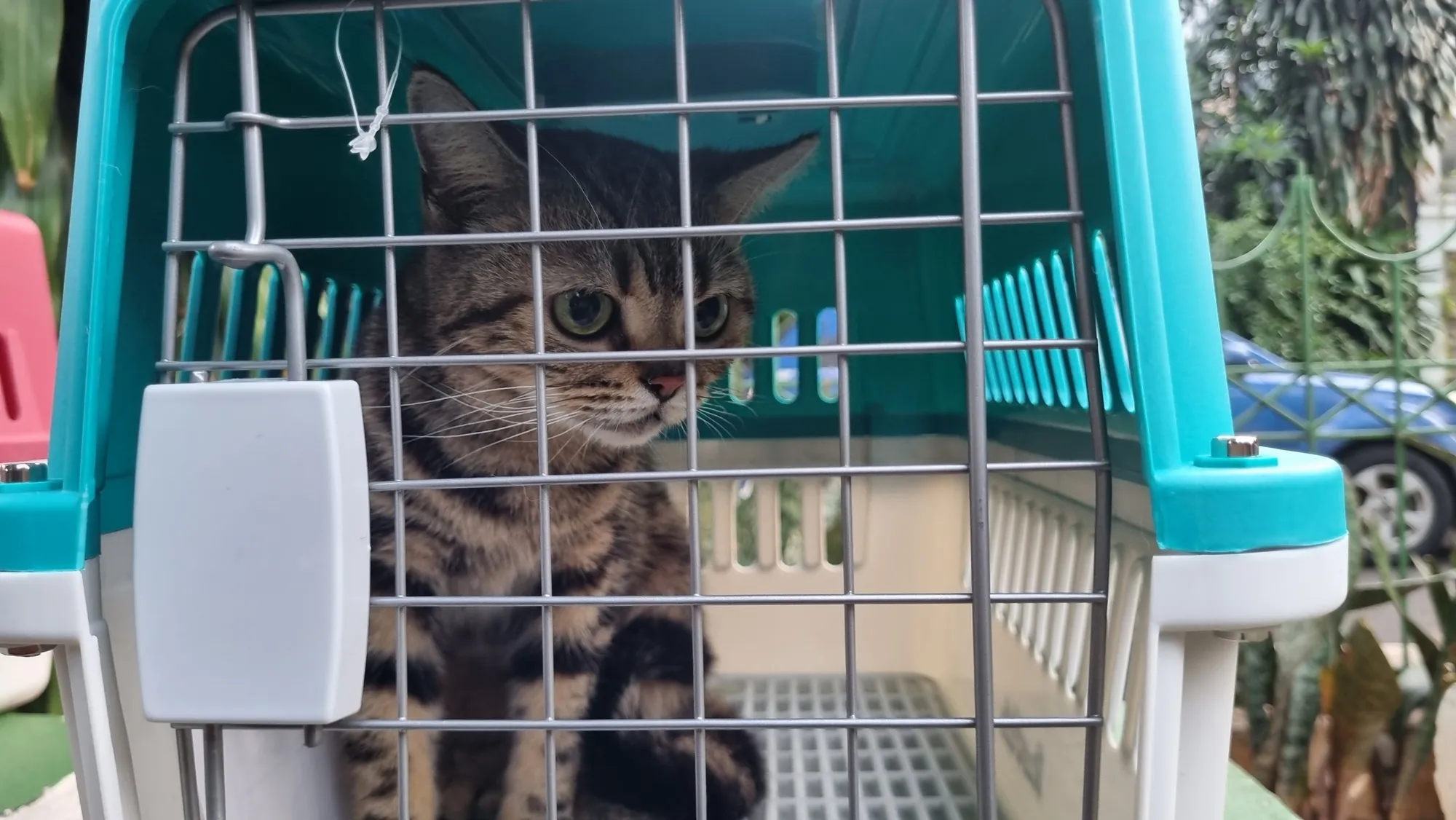 (credit: KapanLagi.com/Fikri Alfi Rosyadi)