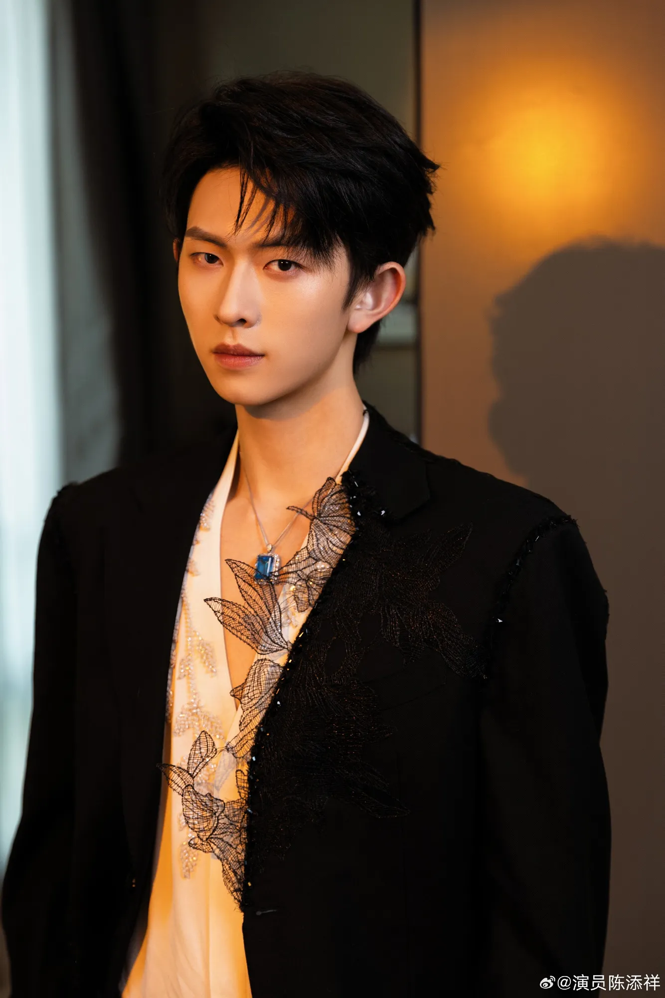 Chen Tianxiang - Copyright: Weibo