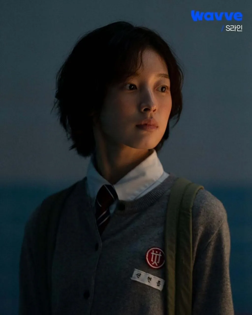 Biodata pemeran drakor S Line yang viral karena cerita uniknya (credit:instagram.com/wavve.official)