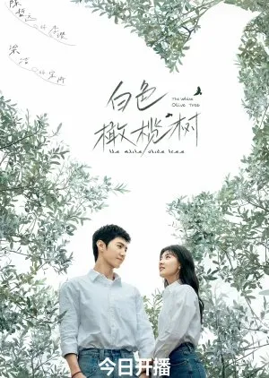 The White Olive Tree - Copywriting: MyDramaList