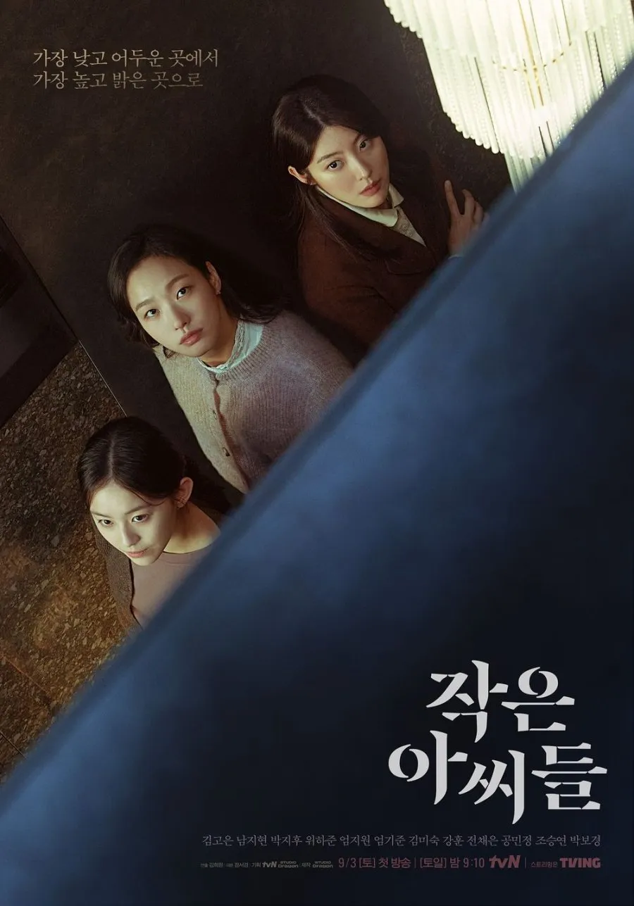 Drama Thriller dan Misteri (c) mydramalist.com