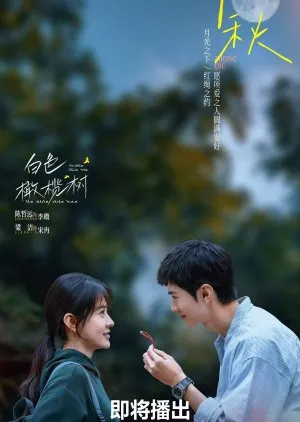 Pertemuan Reporter dan Insinyur di Tengah Zona Konflik (Credit: Mydramalist.com/The White Olive Tree)
