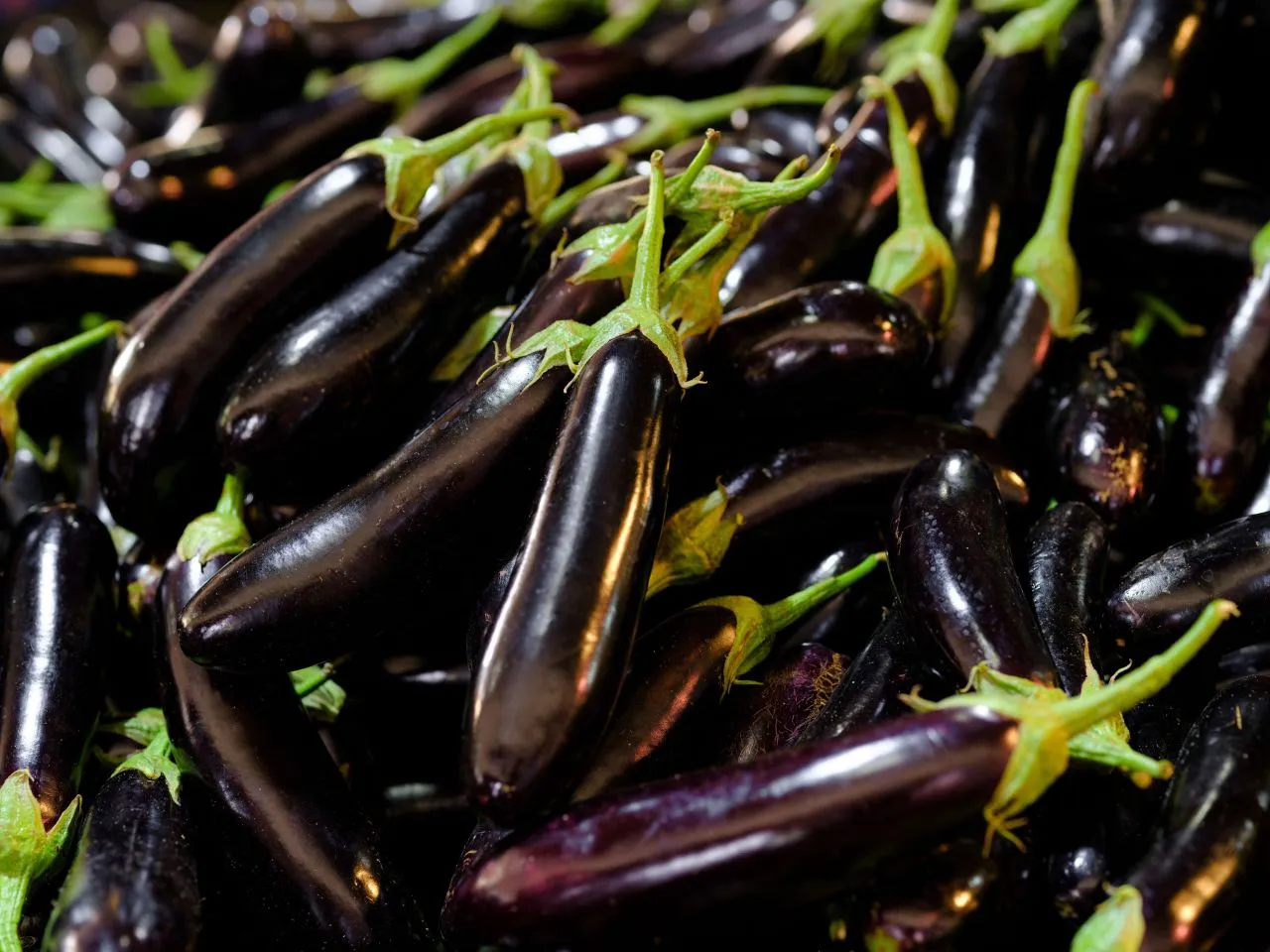 Ilustrasi Terong Ungu (Photo by Engin Akyurt on Pexels)