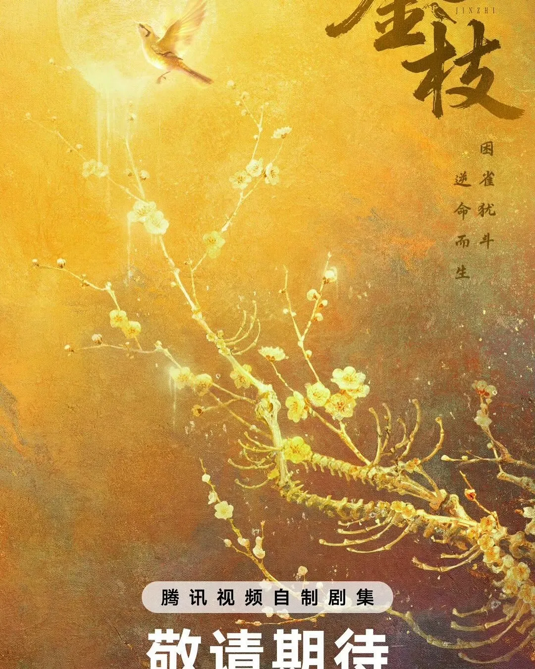 Jin Zhi  - copyright: mydramalist