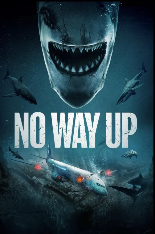 Sinopsis Film NO WAY UP