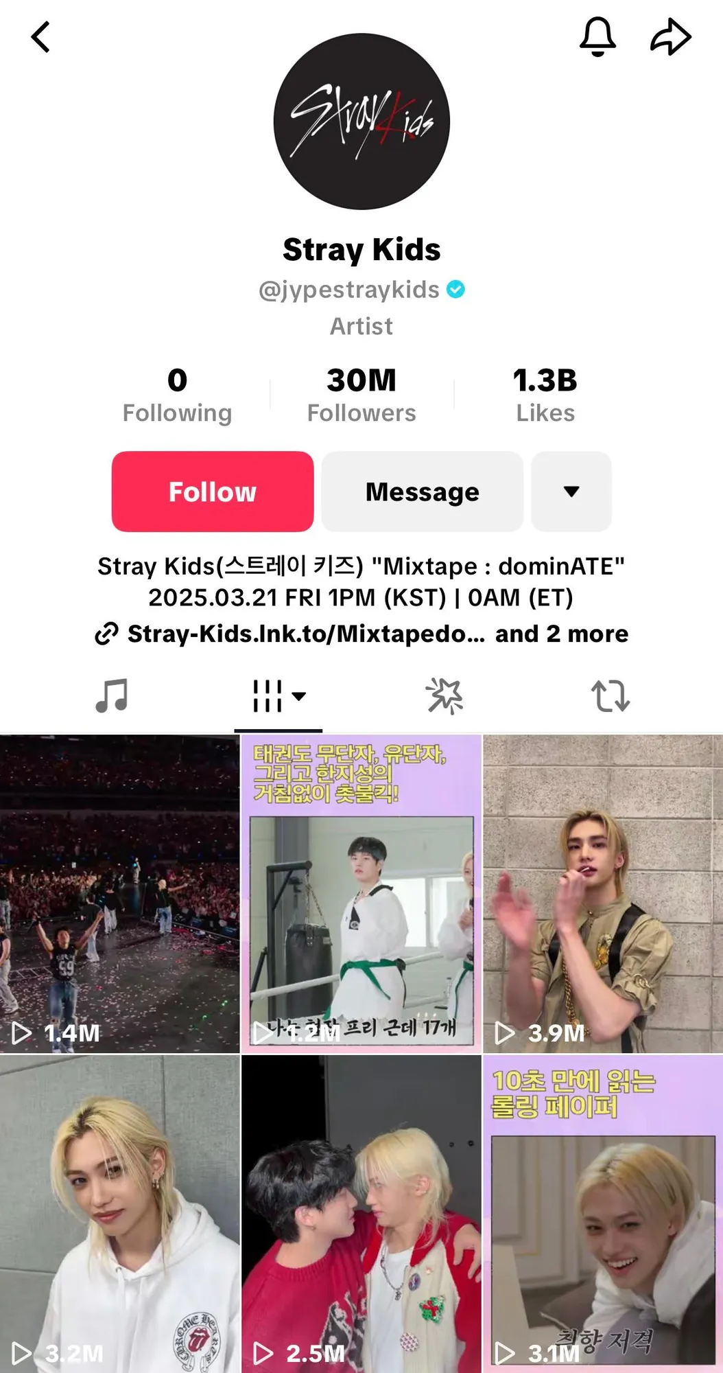 Foto: TikTok.com/jypestraykids.