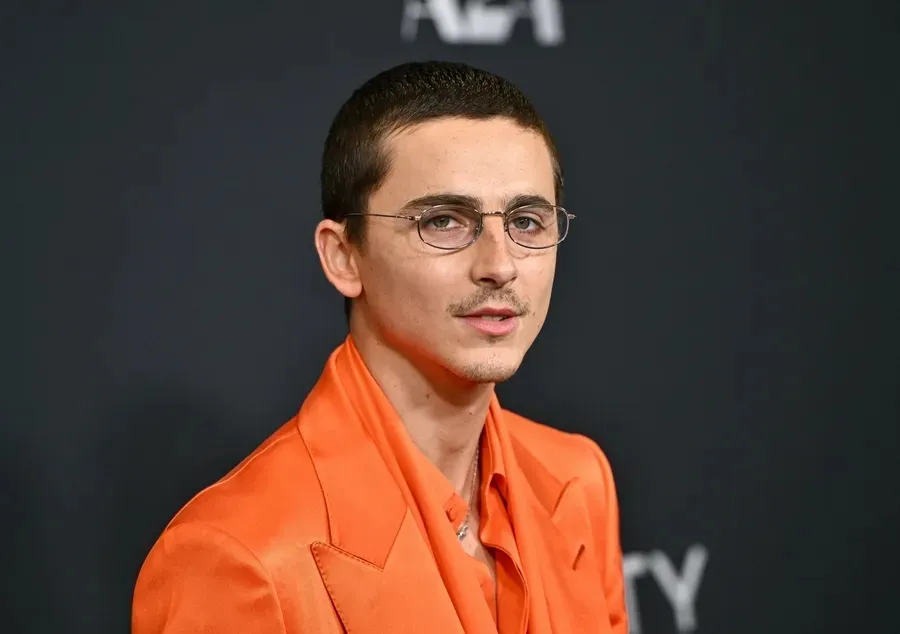 Timothee Chalamet - © Associated Press