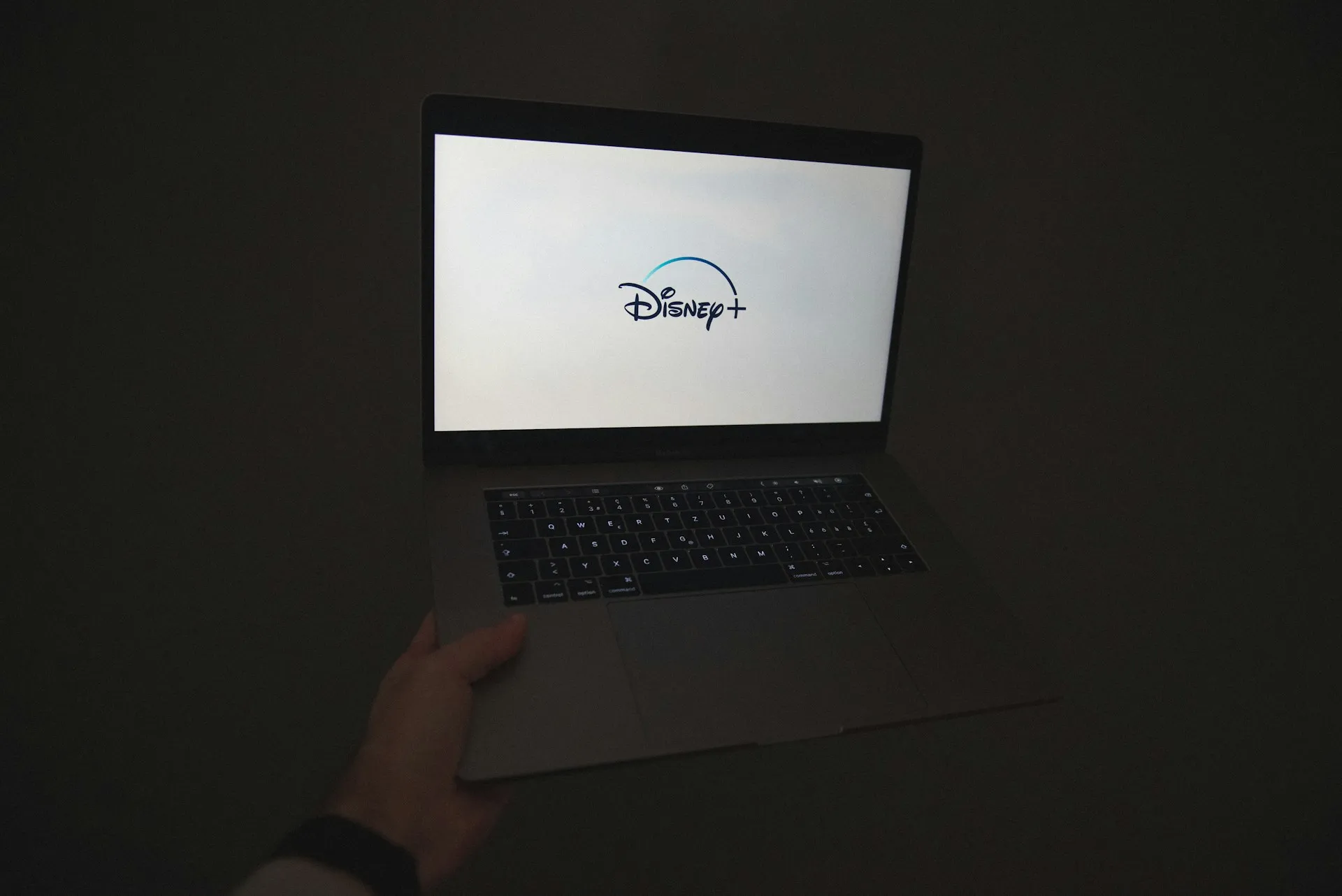 Disney+ Hotstar (credit: unsplash)