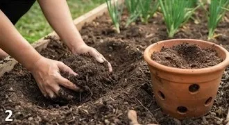 Tips Menanam Daun Bawang agar Bisa Dipotong Berkali-kali/AI Generated