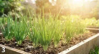 Tips Menanam Daun Bawang agar Bisa Dipotong Berkali-kali/AI Generated