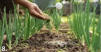 Tips Menanam Daun Bawang agar Bisa Dipotong Berkali-kali/AI Generated