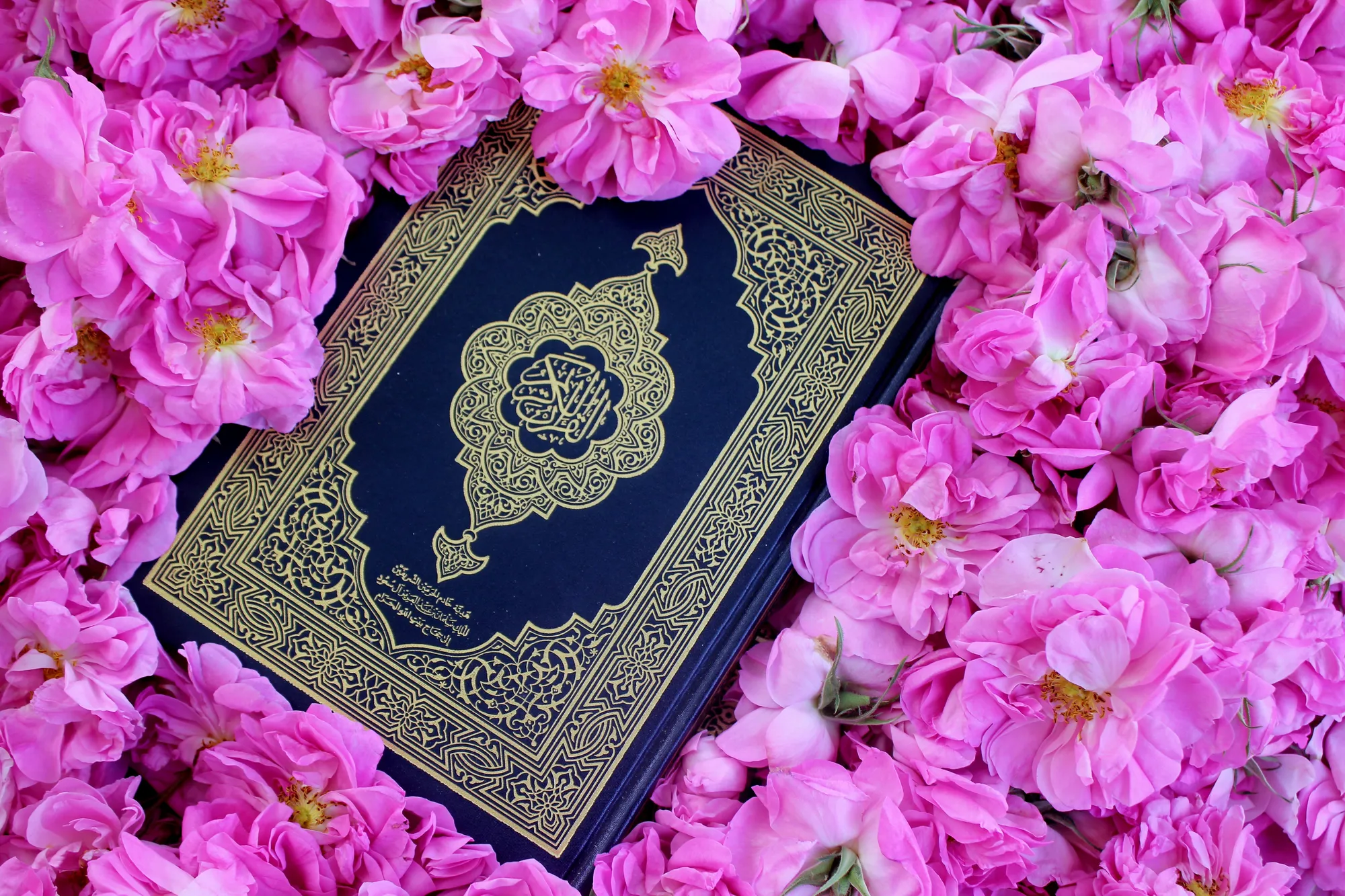 Pengertian dan Makna Ucapan 100 Hari Orang Meninggal Islam (c) Ilustrasi by unsplash