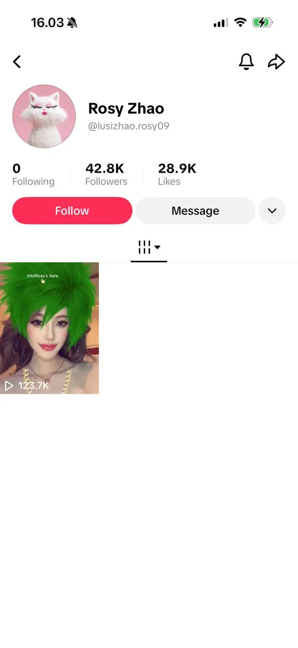 Zhao Lusi - tiktok.com/@lusizhao.rosy09