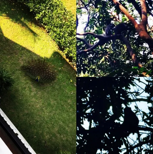 Park Shin Hye memamerkan pemandangan di luar kamar saat berlibur. ©Park Shin Hye Instagram